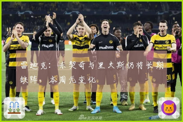 雷迪克：东契奇与里夫斯仍将长期缺阵，本周无变化